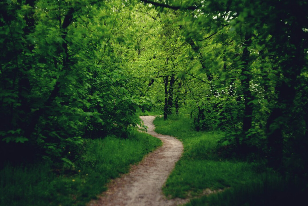 custom learning path